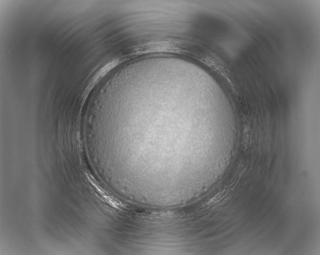 X0000060780882200512011636