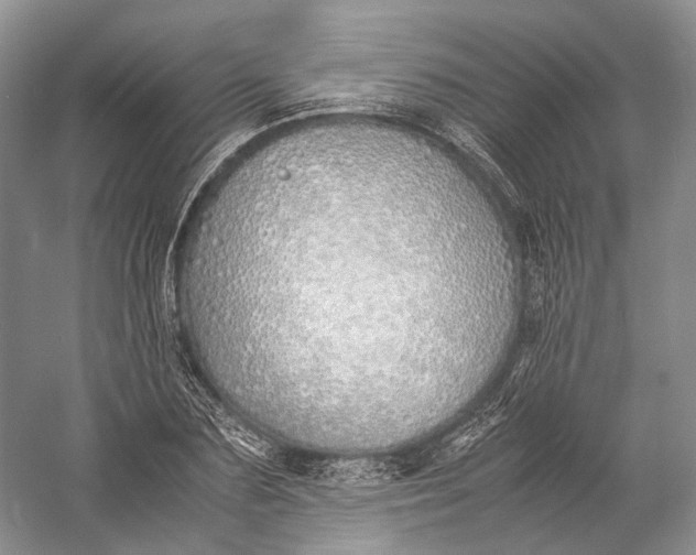 X0000060780883200512011636