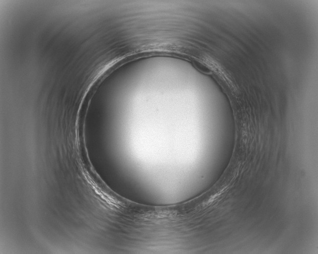 X0000060780884200512011636
