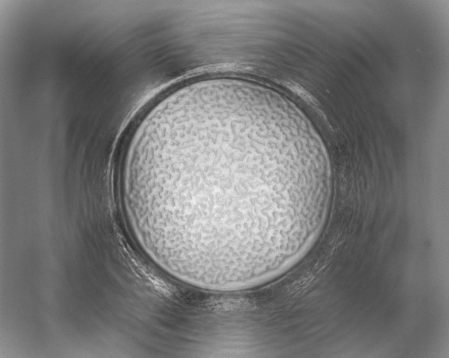 X0000060780886200512011636