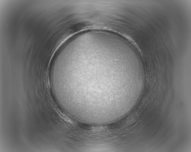 X0000060780887200512011636