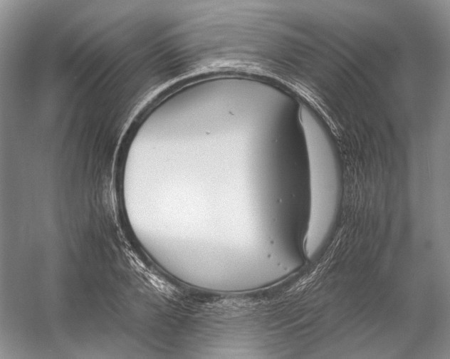 X0000060780888200512011636
