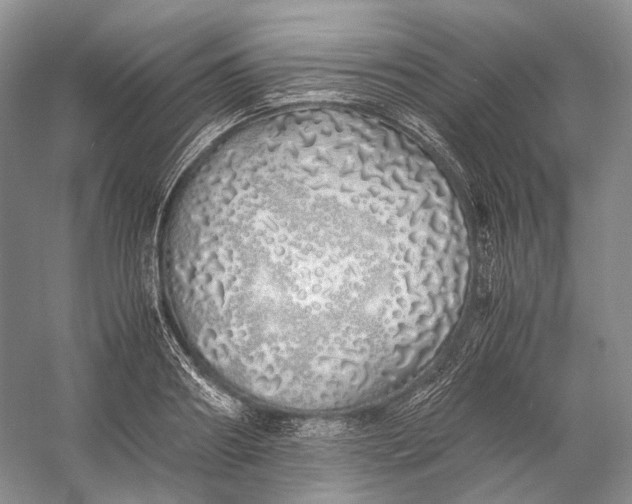 X0000060780890200512011635