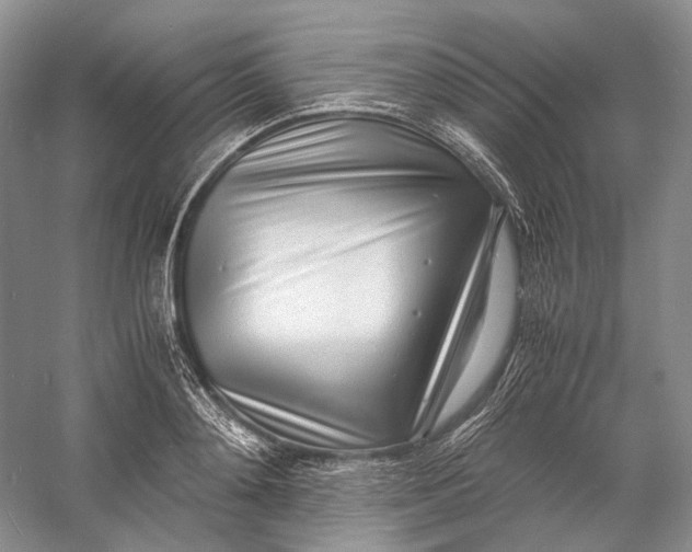 X0000060780892200512011635