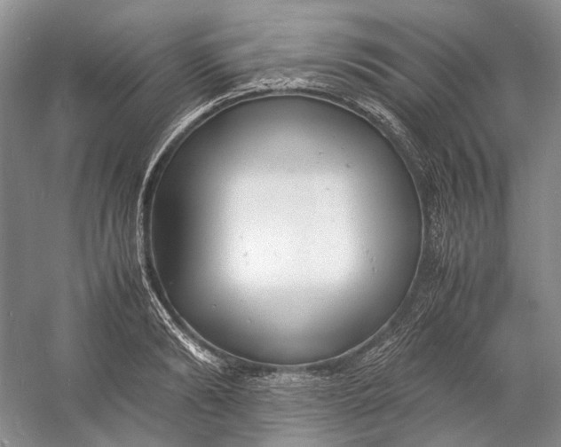 X0000060780894200512011635