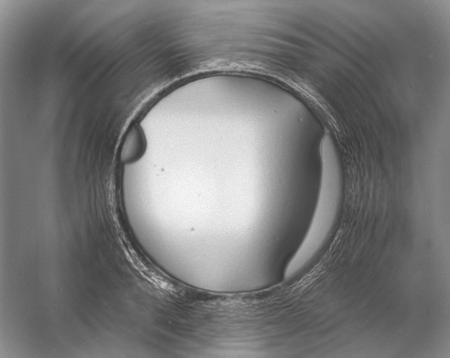 X0000060780896200512011635