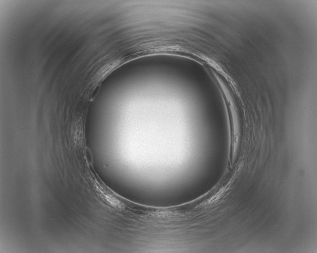 X0000060780897200512011635