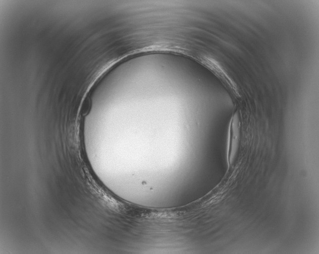 X0000060780900200512011635