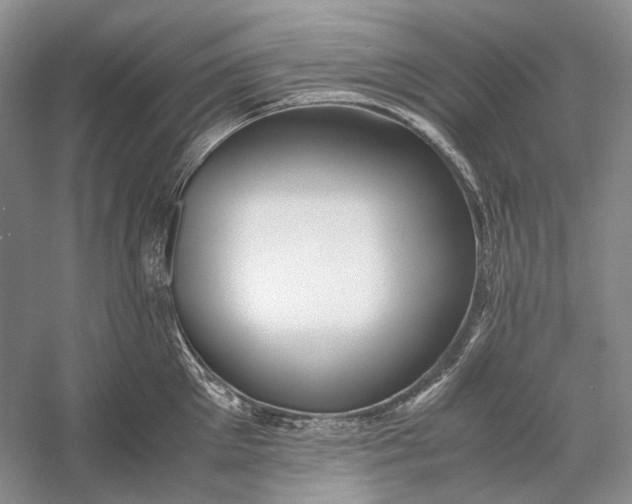X0000060780905200512011635