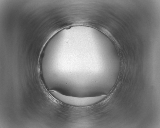 X0000060780908200512011635