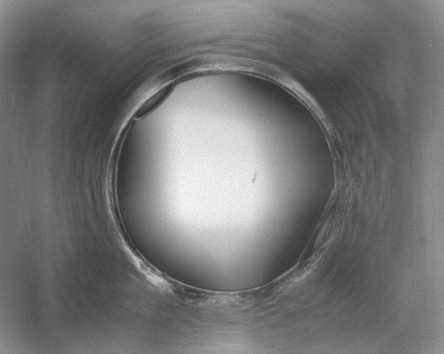 X0000060780909200512011635