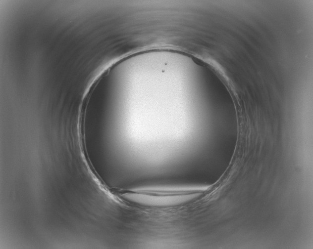 X0000060780910200512011635