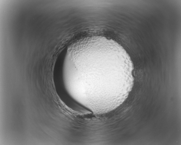 X0000060780913200512011634