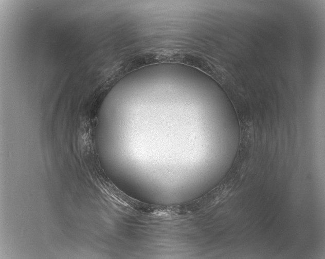 X0000060780914200512011634