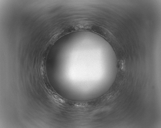 X0000060780915200512011634