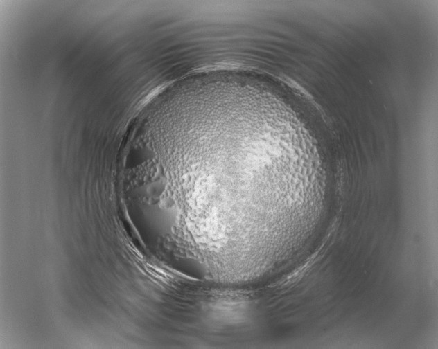 X0000060780921200512011634