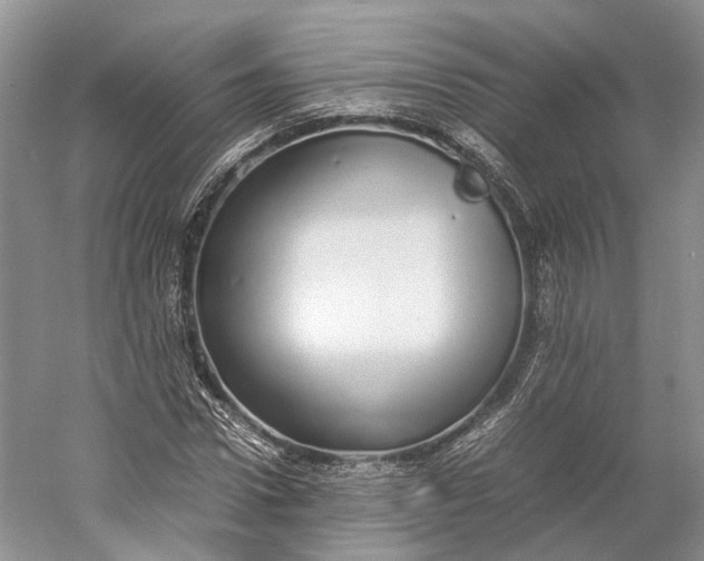 X0000060780922200512011634