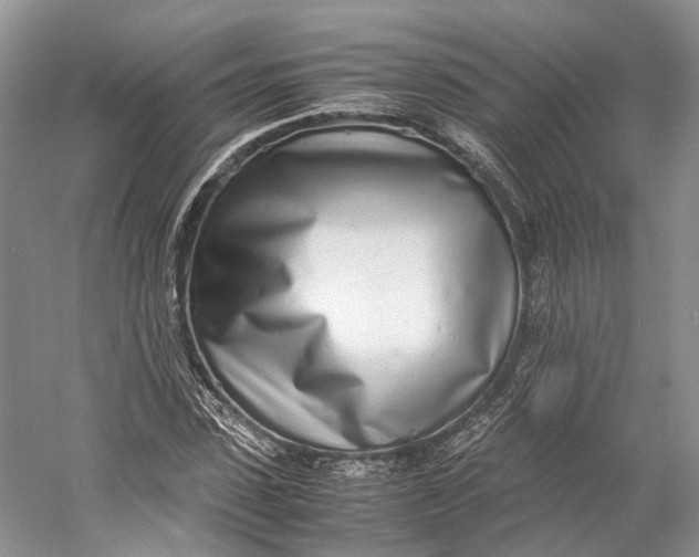 X0000060780923200512011634