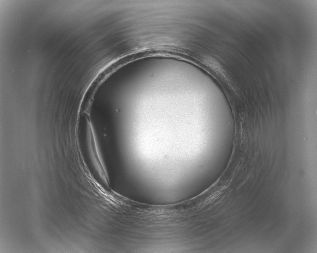 X0000060780924200512011634