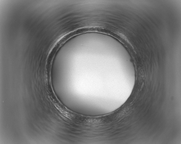 X0000060780927200512011635