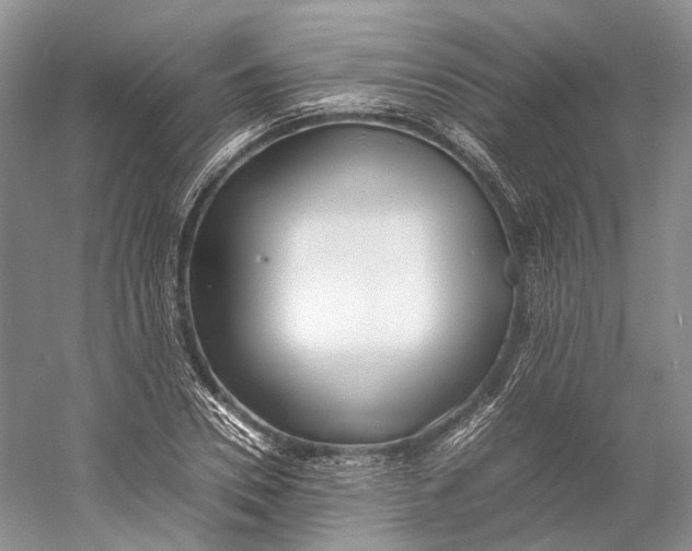 X0000060780930200512011635