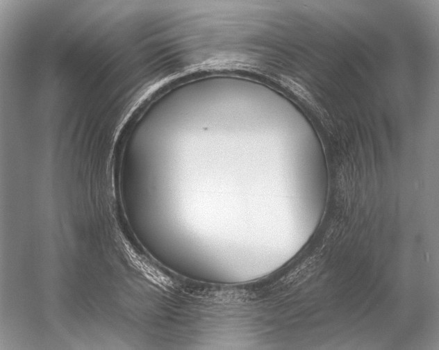 X0000060780934200512011635