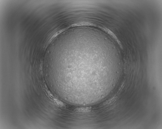 X0000060780937200512011635