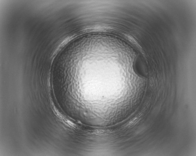 X0000060780938200512011635