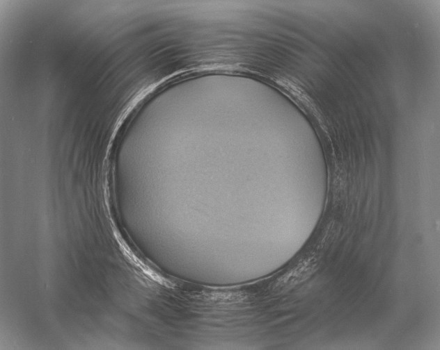 X0000060780941200512011635