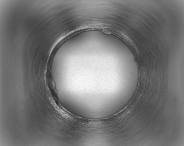 X0000060780944200512011635