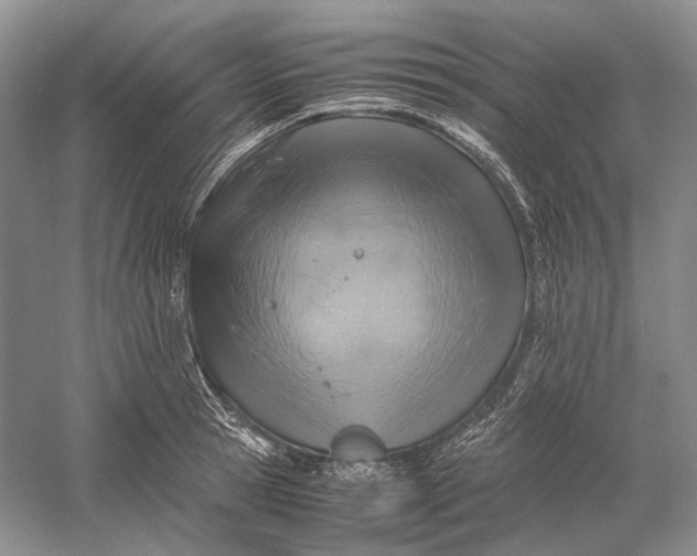X0000060780945200512011635