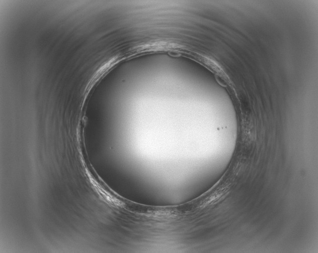 X0000060780946200512011635