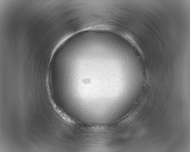 X0000060780952200512011635