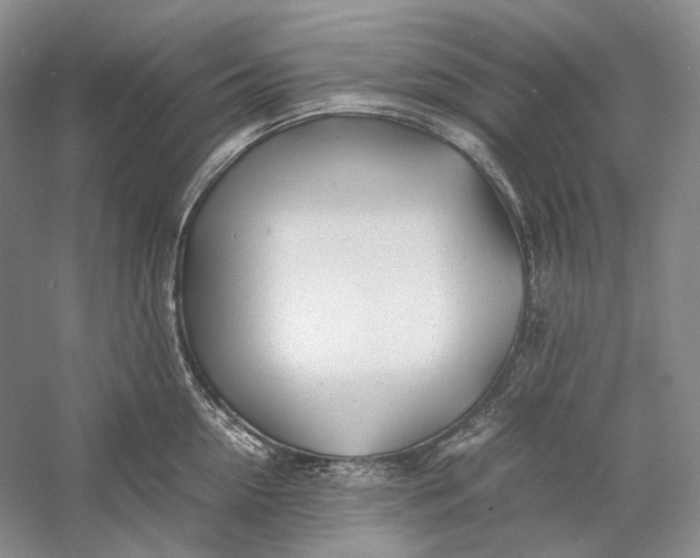 X0000060780954200512011635