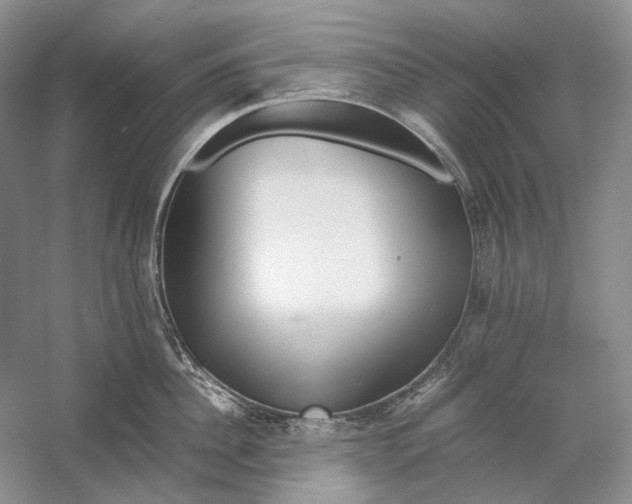 X0000060780956200512011635