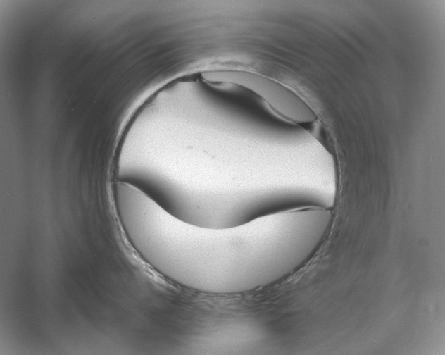 X0000060780960200512011635