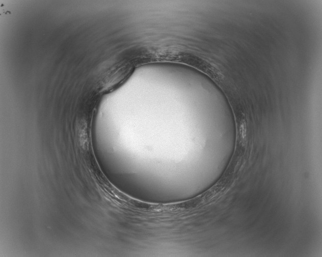 X0000060780963200512011634