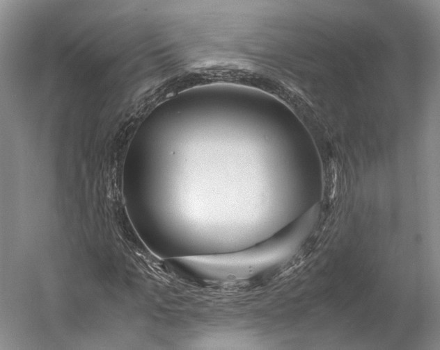X0000060780965200512011634