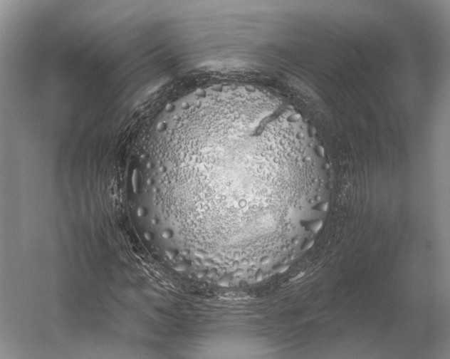X0000060780966200512011634