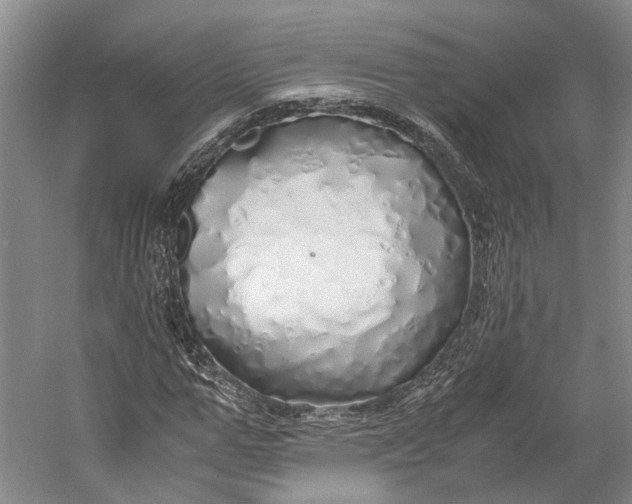 X0000060780967200512011634