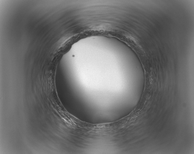 X0000060780968200512011634