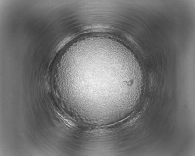X0000060780970200512011634