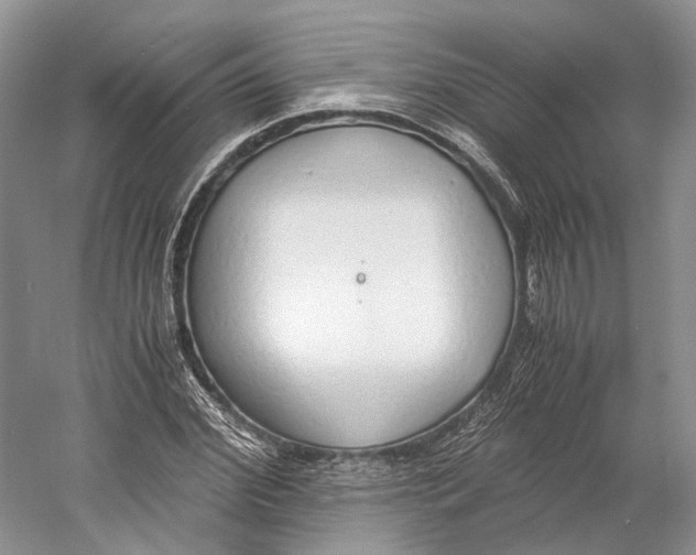 X0000060780972200512011634