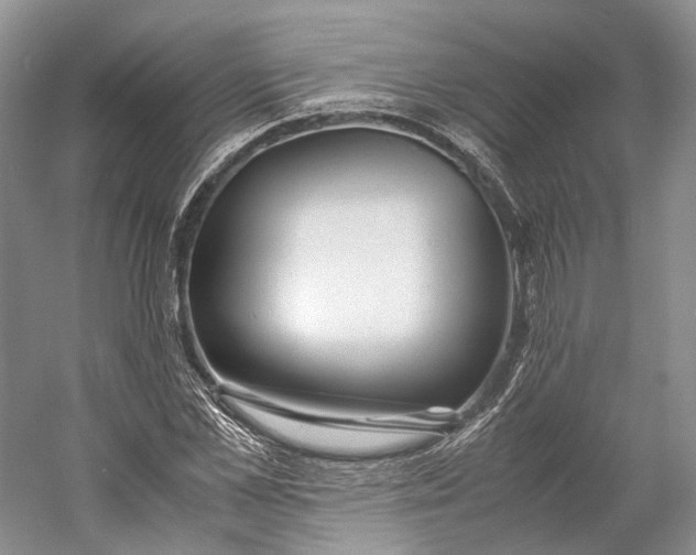X0000060780973200512011634