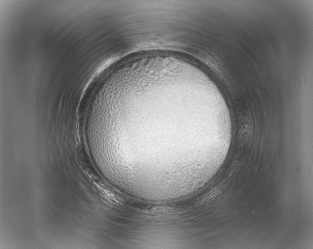 X0000060780974200512011634