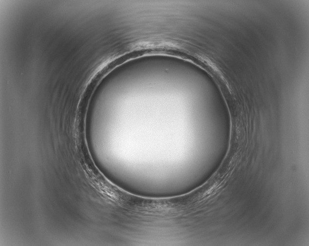 X0000060780975200512011634