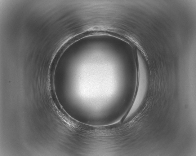 X0000060780976200512011634