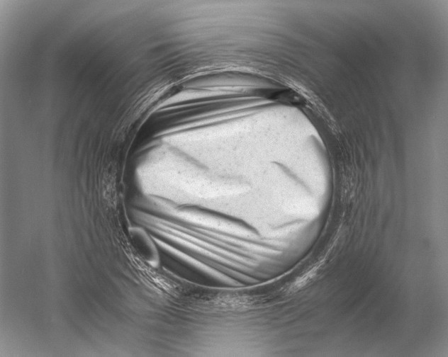 X0000060780977200512011634