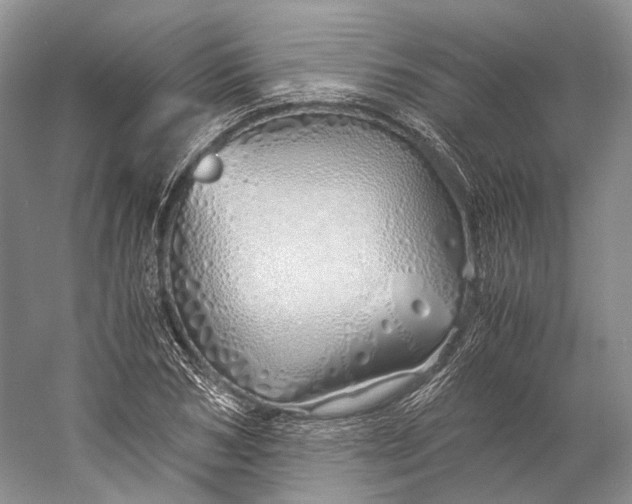X0000060780978200512011634
