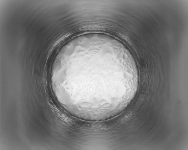 X0000060780979200512011634